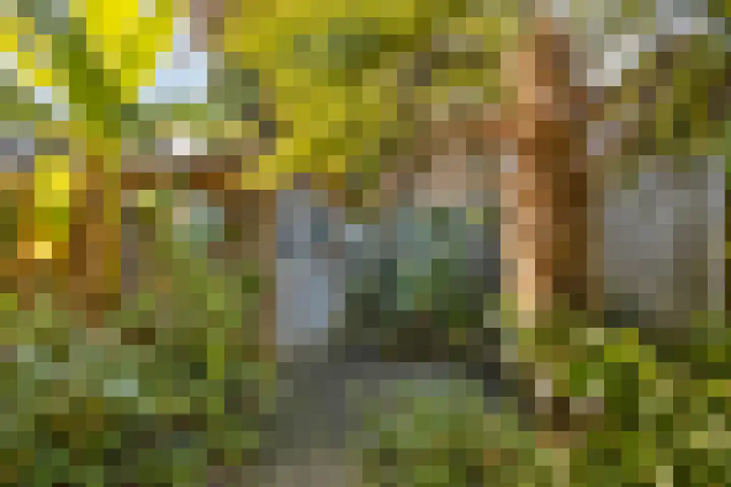 Gele lis 5 Deventer thumbnail 36