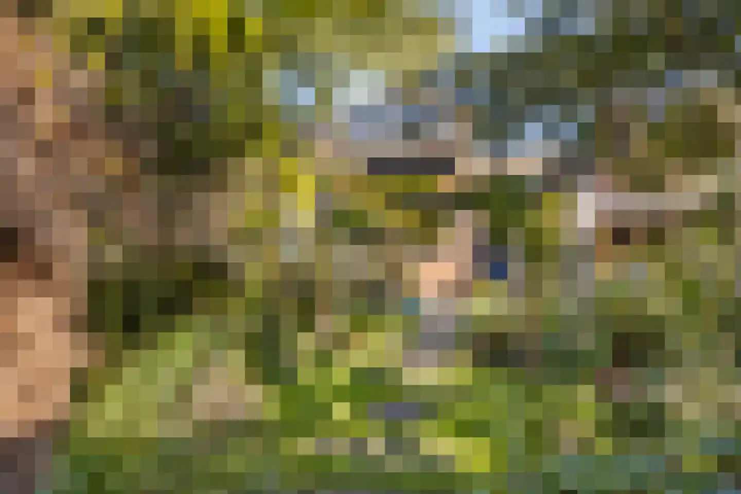 Gele lis 5 Deventer thumbnail 38