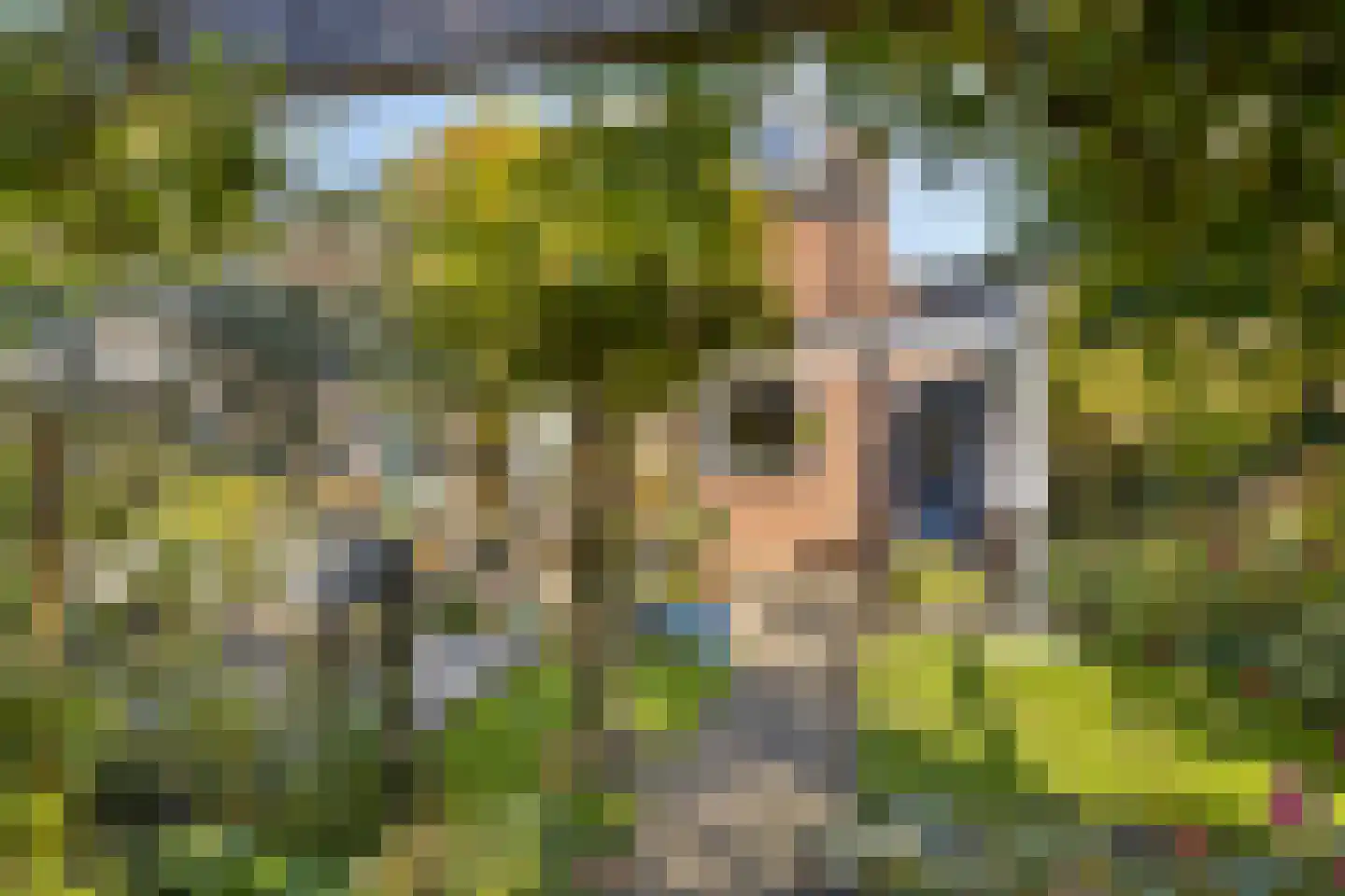 Gele lis 5 Deventer thumbnail 39