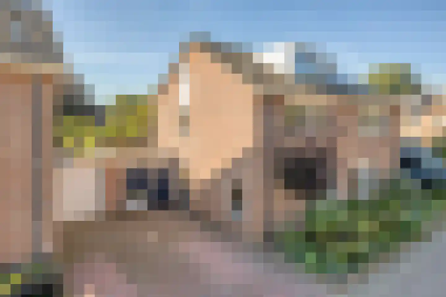 Gele lis 5 Deventer thumbnail 41