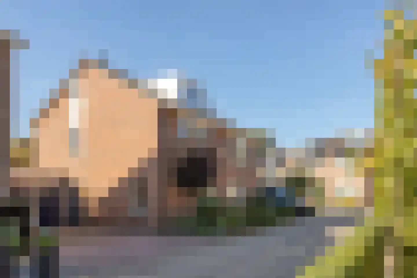 Gele lis 5 Deventer thumbnail 43