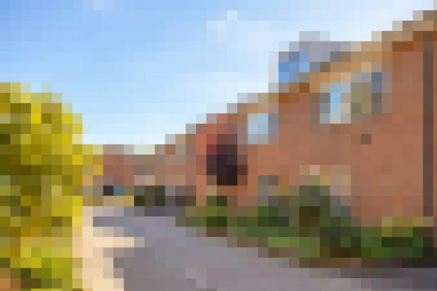 Gele lis 5 Deventer thumbnail 44