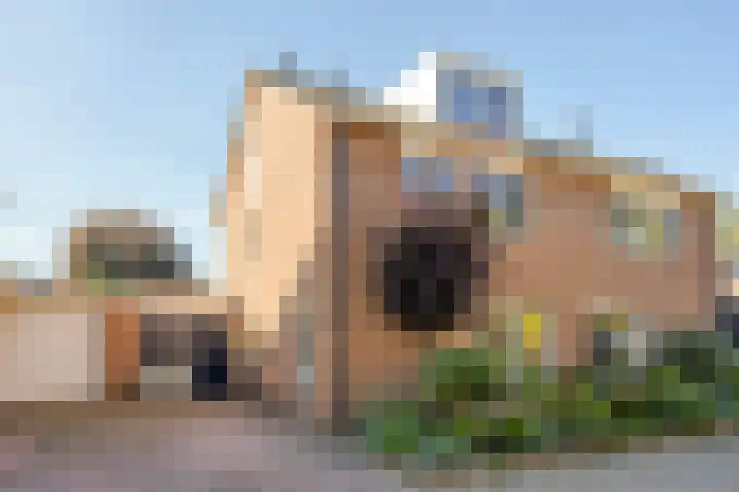 Gele lis 5 Deventer thumbnail 46