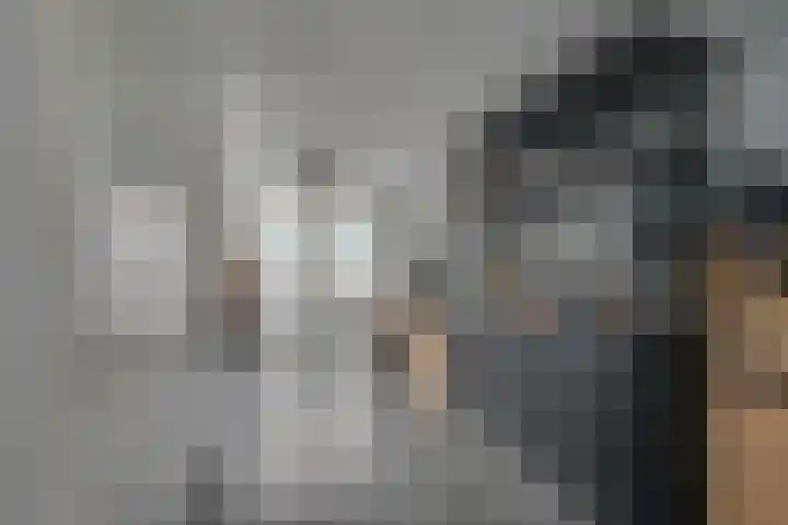 Gele Lishof 20 Heerhugowaard thumbnail 10