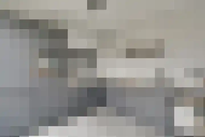 Gele Lishof 20 Heerhugowaard thumbnail 11
