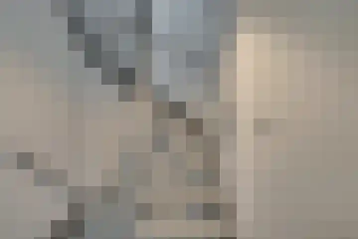Gele Lishof 20 Heerhugowaard thumbnail 14