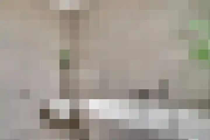 Gele Lishof 20 Heerhugowaard thumbnail 19