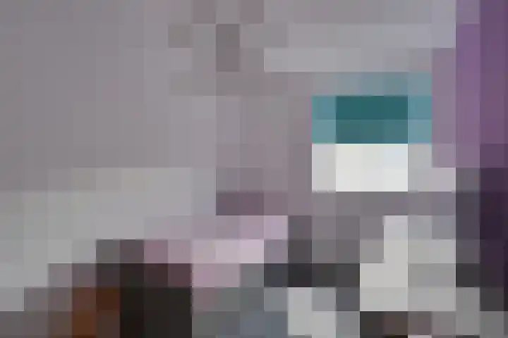 Gele Lishof 20 Heerhugowaard thumbnail 23