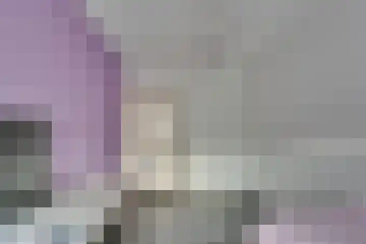Gele Lishof 20 Heerhugowaard thumbnail 24