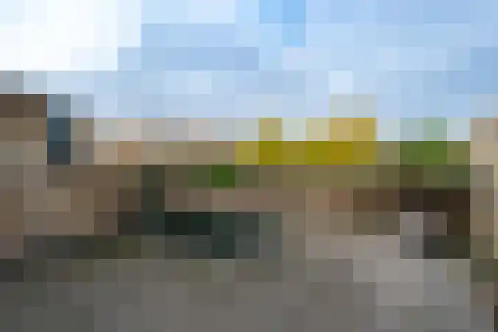 Gele Lishof 20 Heerhugowaard thumbnail 30