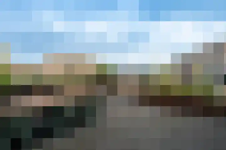 Gele Lishof 20 Heerhugowaard thumbnail 31