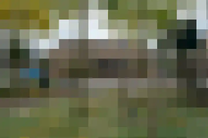 Gele Lishof 20 Heerhugowaard thumbnail 35