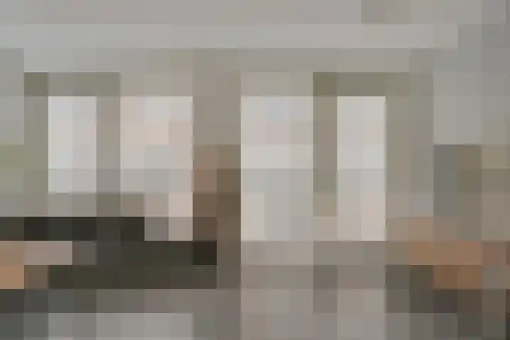 Gele Lishof 20 Heerhugowaard thumbnail 4