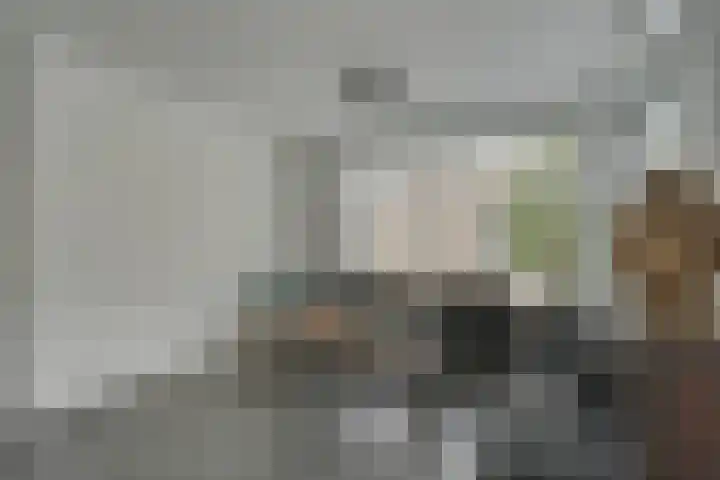 Gele Lishof 20 Heerhugowaard thumbnail 5