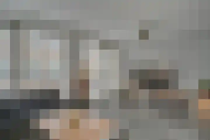 Gele Lishof 20 Heerhugowaard thumbnail 7
