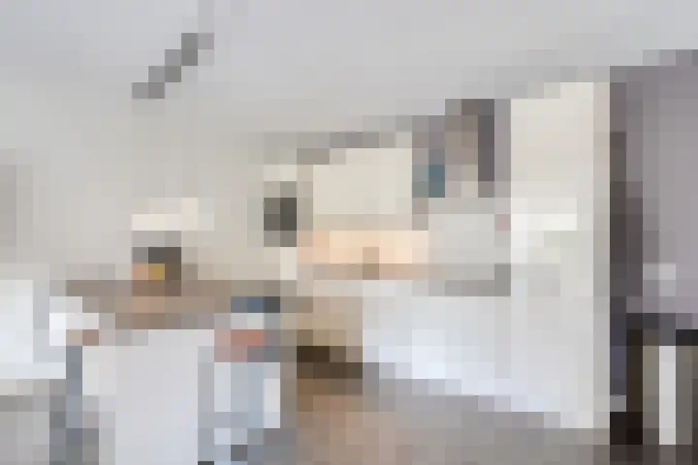 Gele Lishof 66 Heerhugowaard thumbnail 10