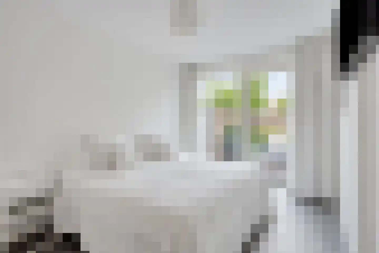 Gele Lishof 66 Heerhugowaard thumbnail 17