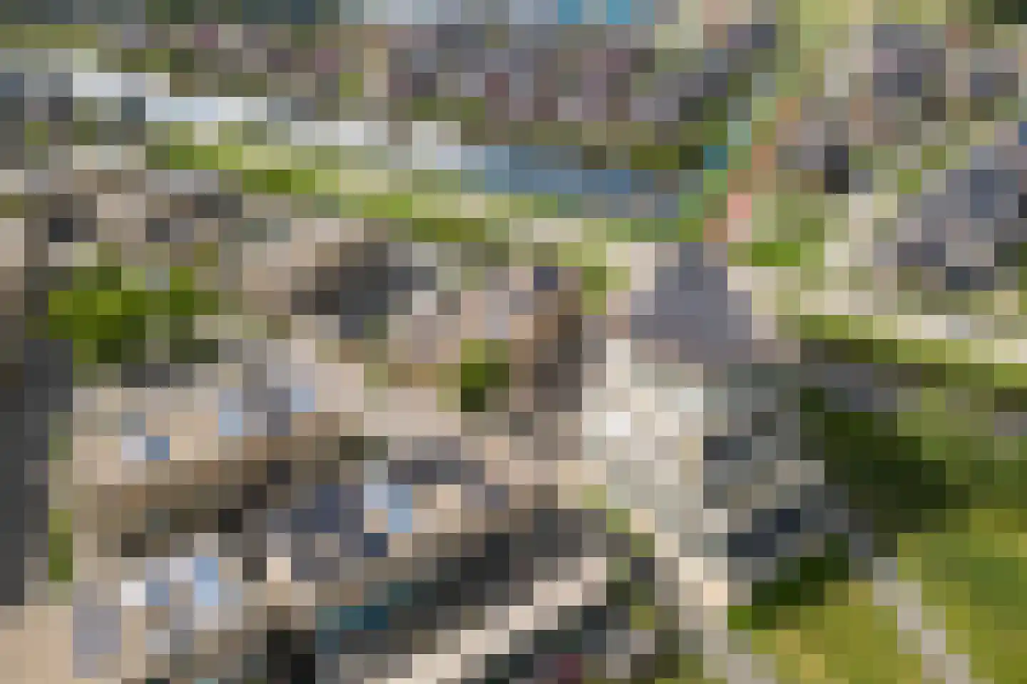 Gele Lishof 66 Heerhugowaard thumbnail 31