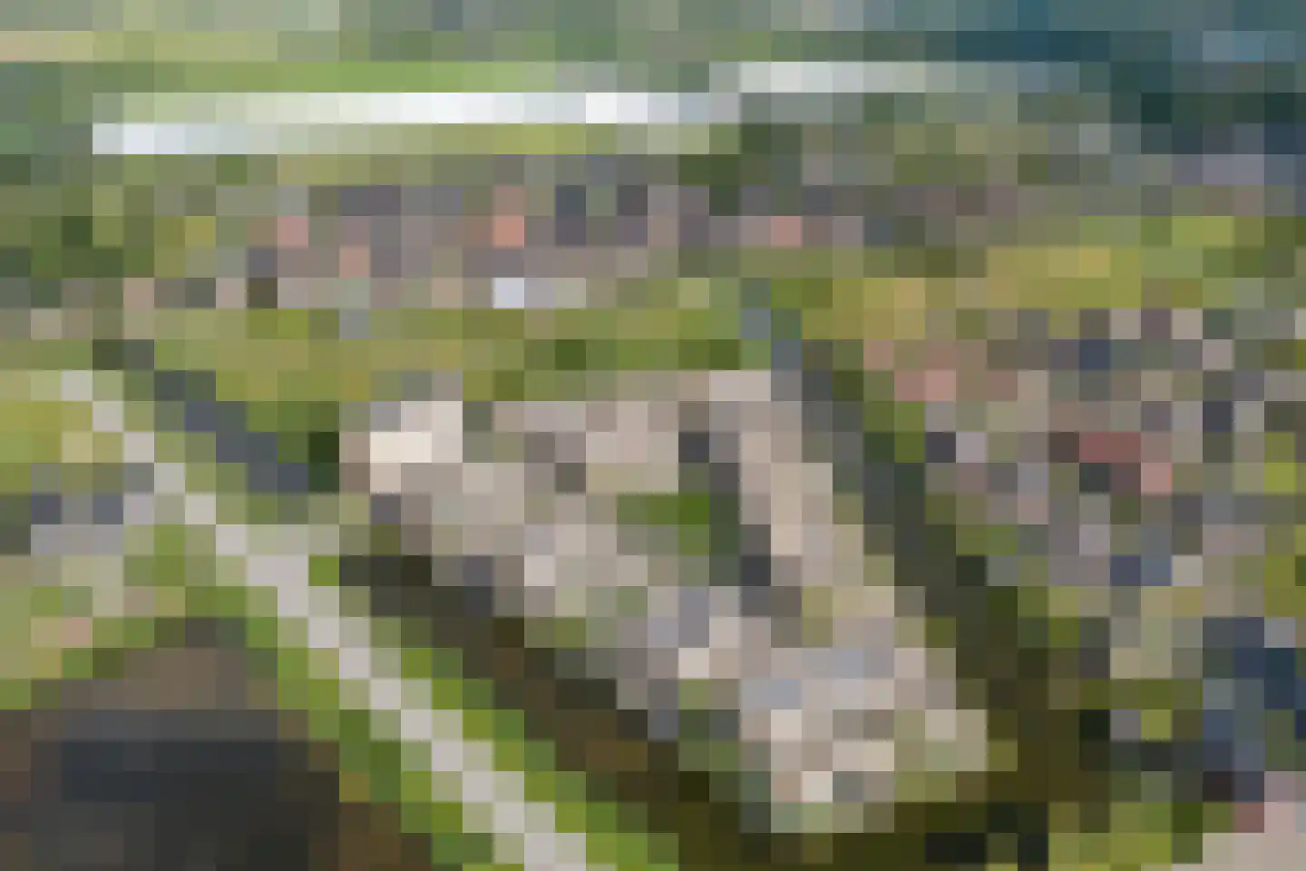 Gele Lishof 66 Heerhugowaard thumbnail 32