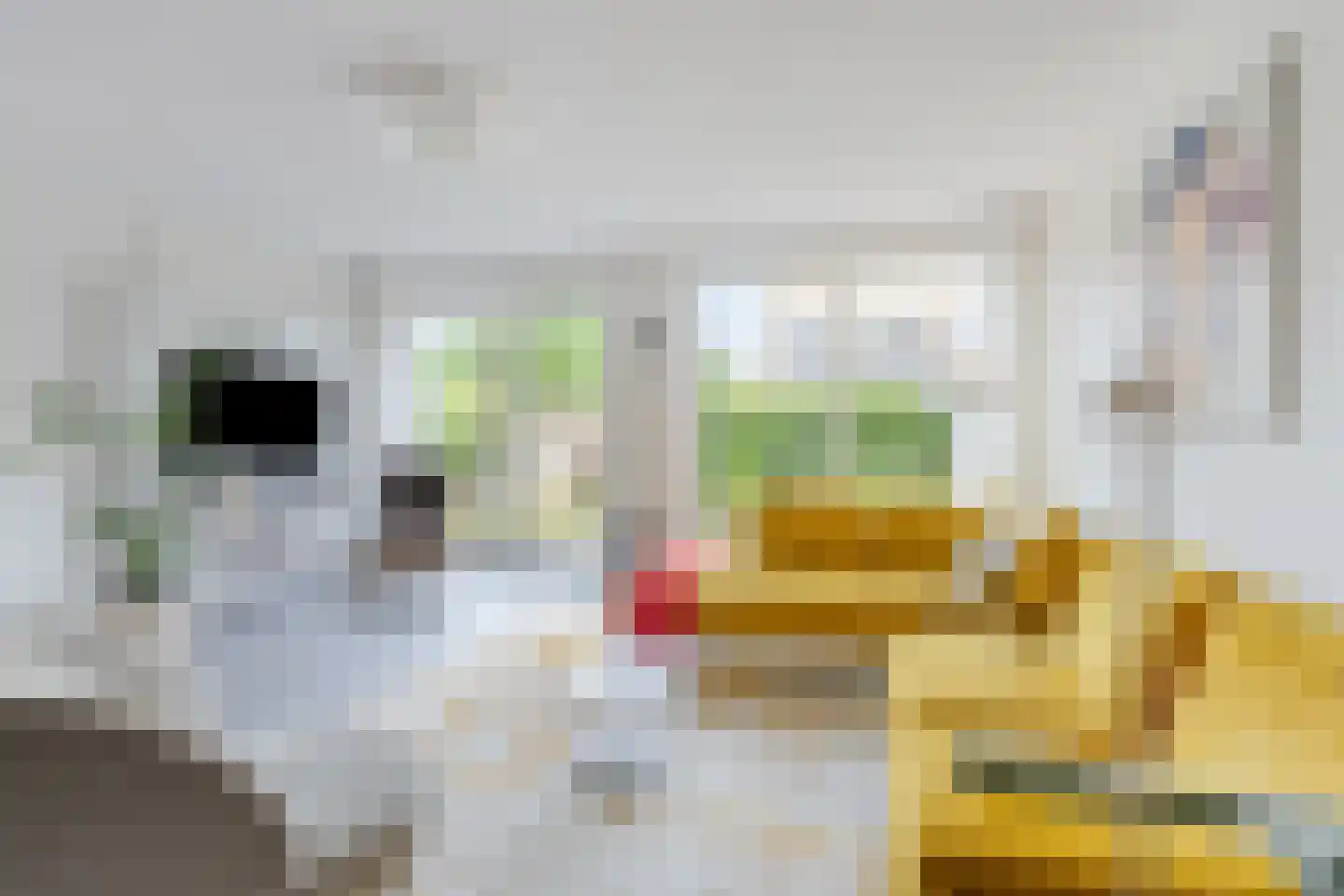 Gele Lishof 66 Heerhugowaard thumbnail 5