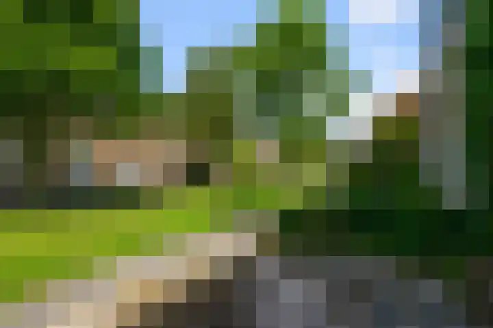 Gele Lisstraat 66 Wormer thumbnail 25