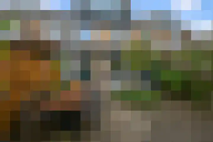 Gele Lisstraat 68 Wormer thumbnail 14