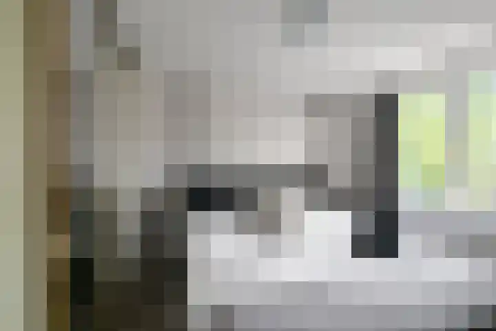 Gele Lisstraat 68 Wormer thumbnail 19