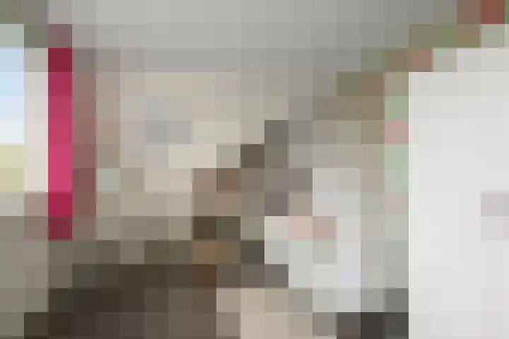 Gele Lisstraat 68 Wormer thumbnail 27