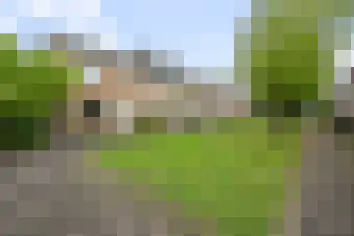 Gele Lisstraat 68 Wormer thumbnail 31