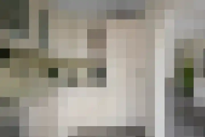 Gele Lisstraat 68 Wormer thumbnail 8