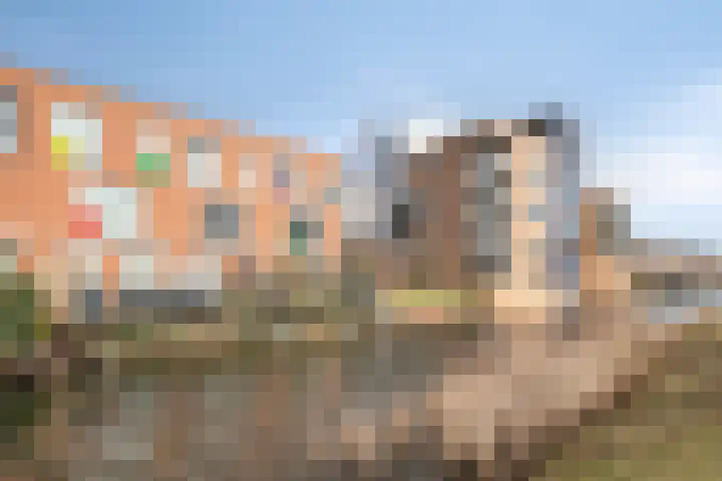Gele Plomp 16 Amersfoort thumbnail 34
