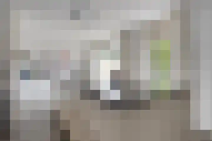 Gele Plomp 2 Amersfoort thumbnail 10