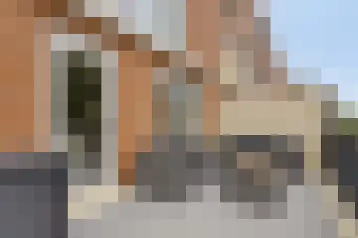 Gele Plomp 2 Amersfoort thumbnail 13