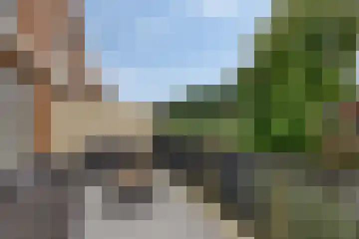 Gele Plomp 2 Amersfoort thumbnail 14