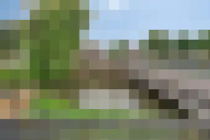 Gele Plomp 2 Amersfoort thumbnail 15