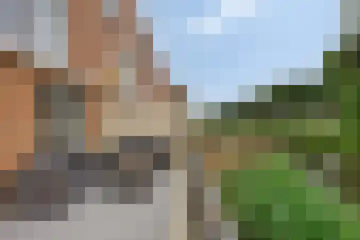 Gele Plomp 2 Amersfoort thumbnail 16