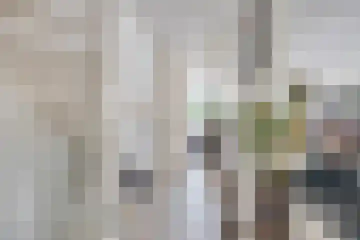 Gele Plomp 2 Amersfoort thumbnail 17