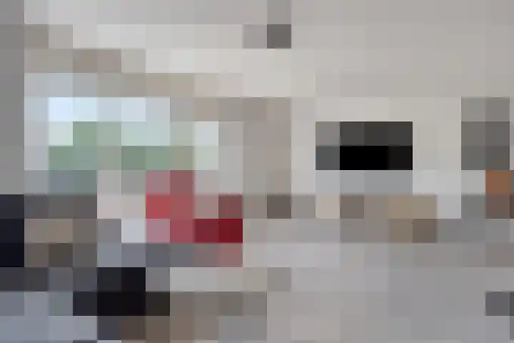 Gele Plomp 2 Amersfoort thumbnail 19