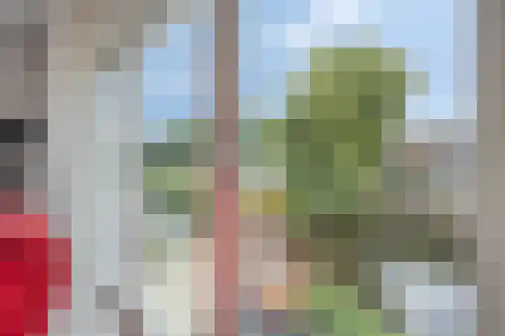 Gele Plomp 2 Amersfoort thumbnail 20