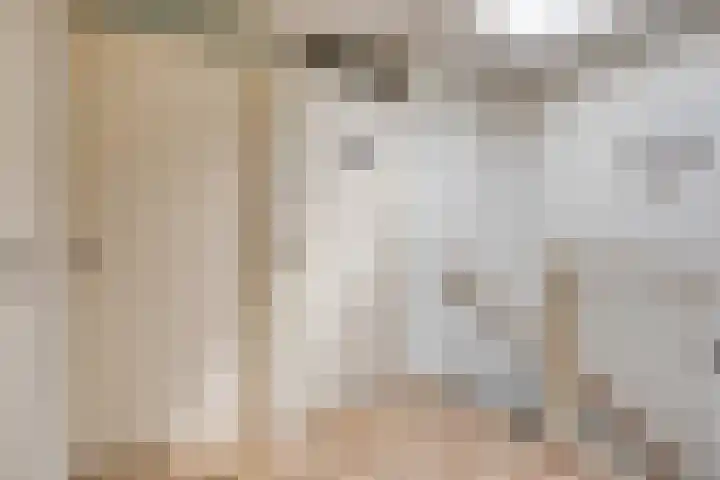 Gele Plomp 2 Amersfoort thumbnail 26
