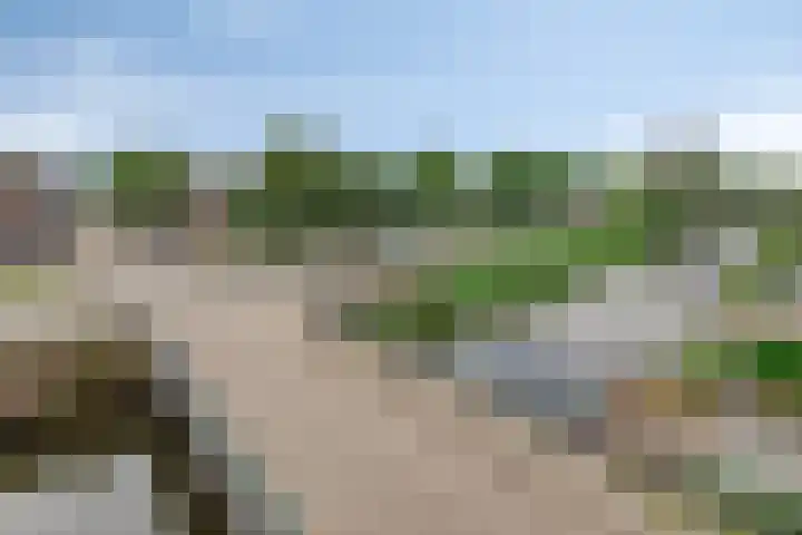 Gele Plomp 2 Amersfoort thumbnail 31