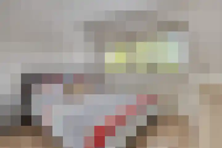 Gele Plomp 2 Amersfoort thumbnail 34