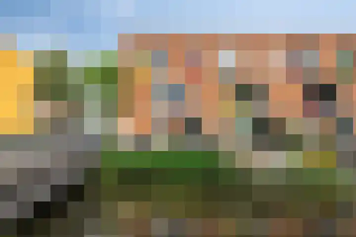 Gele Plomp 2 Amersfoort thumbnail 36
