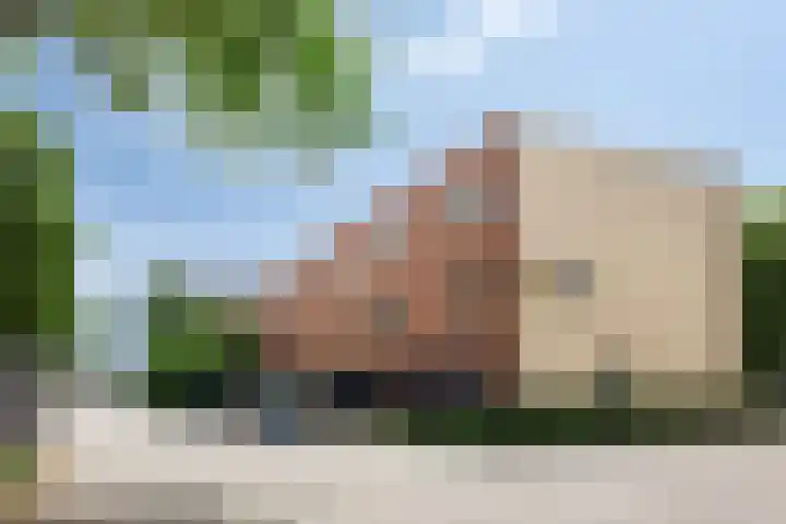 Gele Plomp 2 Amersfoort thumbnail 37