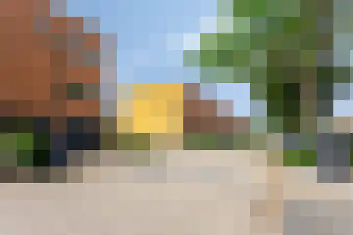 Gele Plomp 2 Amersfoort thumbnail 38