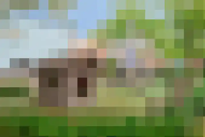 Gele Plomp 2 Amersfoort thumbnail 39