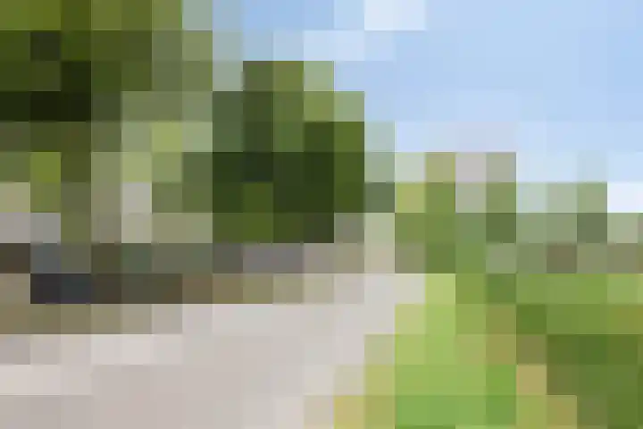Gele Plomp 2 Amersfoort thumbnail 40