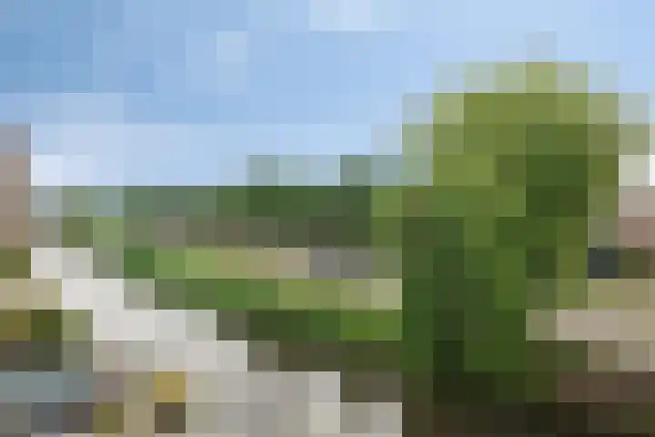 Gele Plomp 2 Amersfoort thumbnail 5