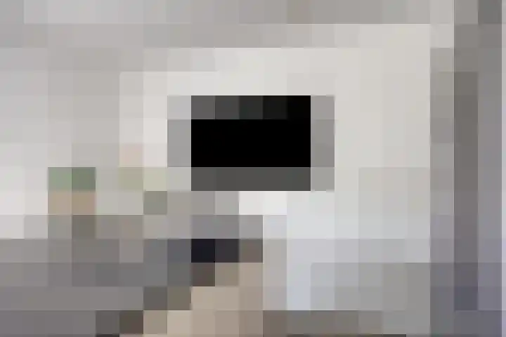 Gele Plomp 2 Amersfoort thumbnail 9
