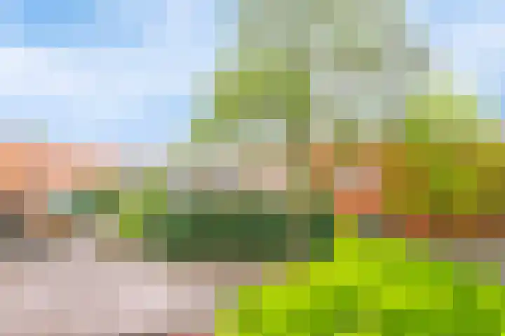 Gele Plomp 24 Amersfoort thumbnail 33